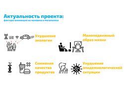 Разработка и создание презентаций для инвестора