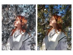Портреты