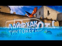 Монтаж Видео