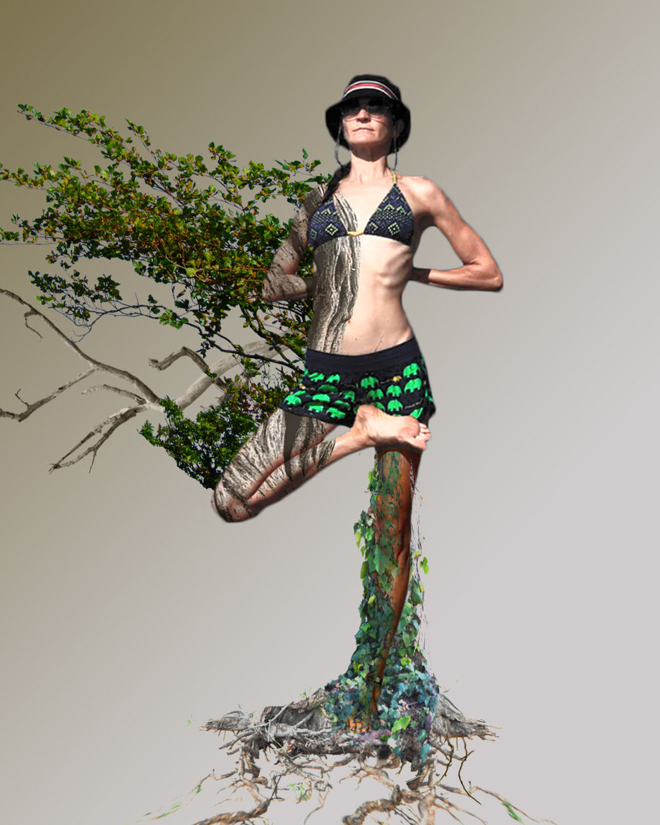 vricshsana tree.jpg