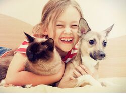 7 детских книг, которые учат любви к животным