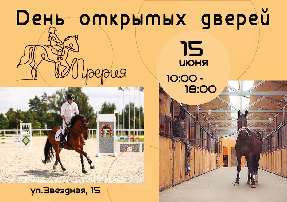 Афиша (1).png
