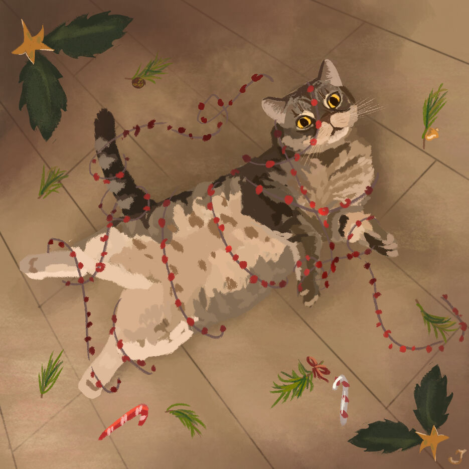 соник — копия.jpg