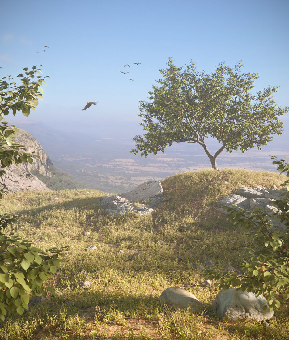 Mountain landscape 5mb contrast.jpg