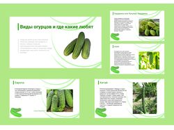 Презентация 7
