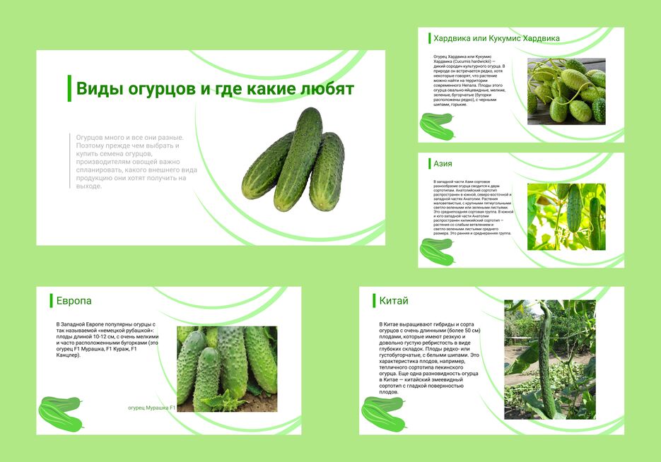 Проект 7.png