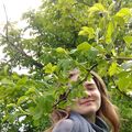 Sophamosk