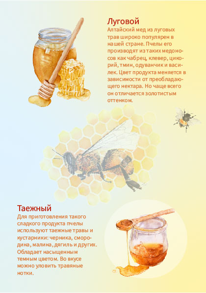 буклет_3.jpg