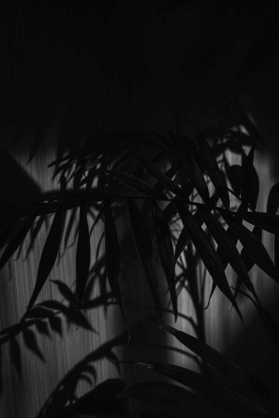 PSX_20210329_183506.jpg