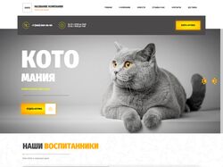 Дизайн сайта приют для кошек