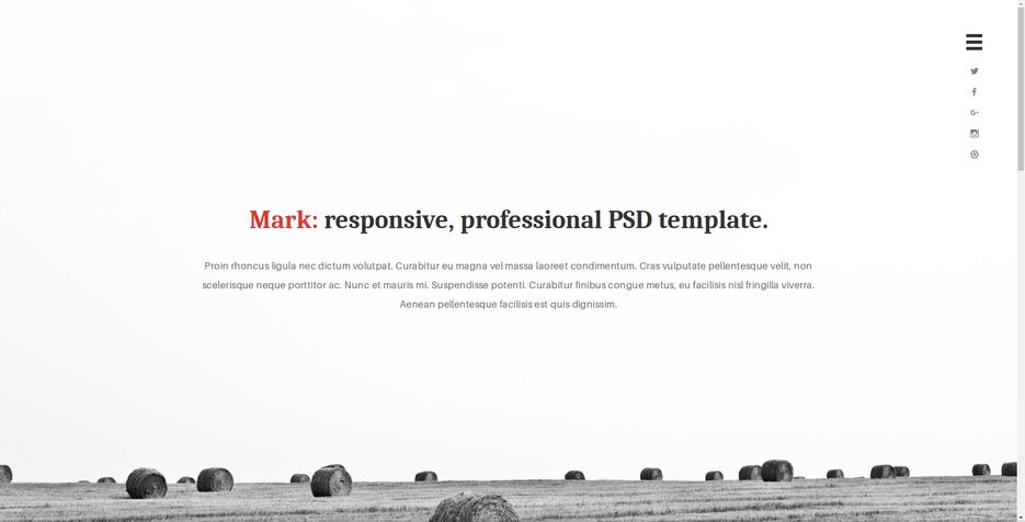 portfolio-mark.png
