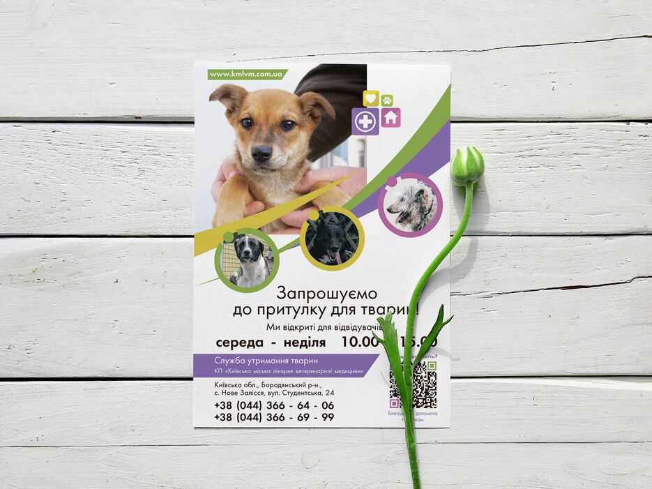 приют.png