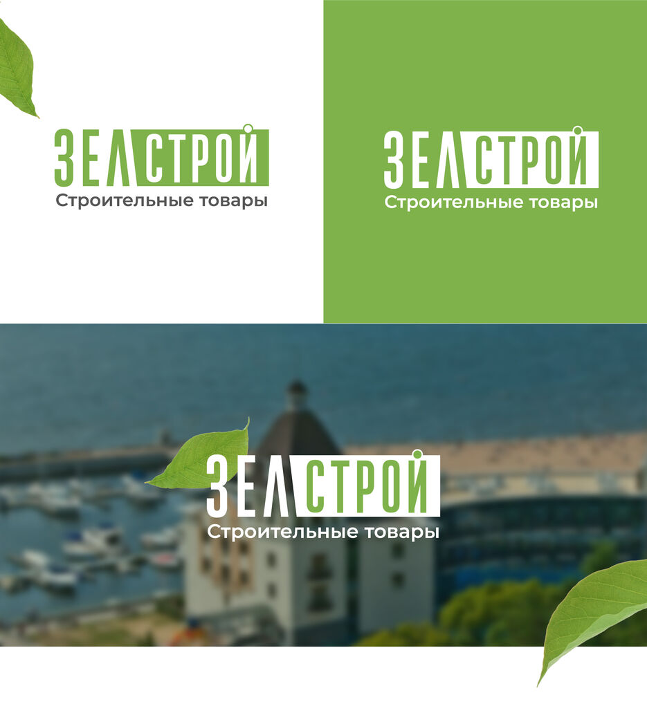Зелстрой_Монтажная область 1.jpg