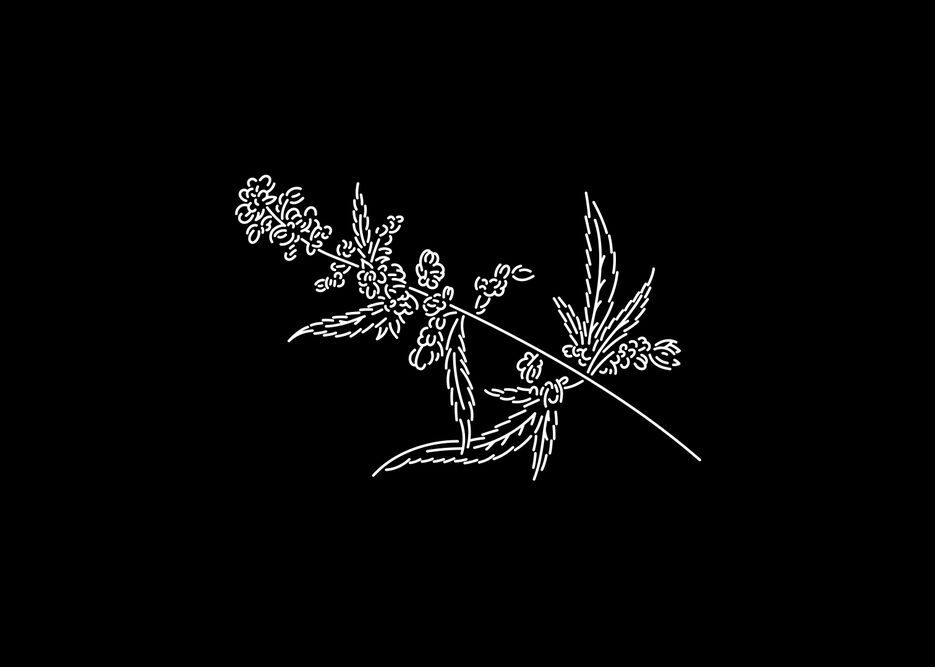 Trees_Illustrations_Process_Black.gif