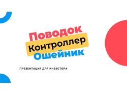 Презентация для инвестиций