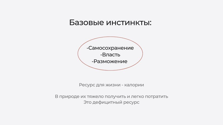 C6ED44FA-CC76-47F2-AC87-C50FA948A576.png