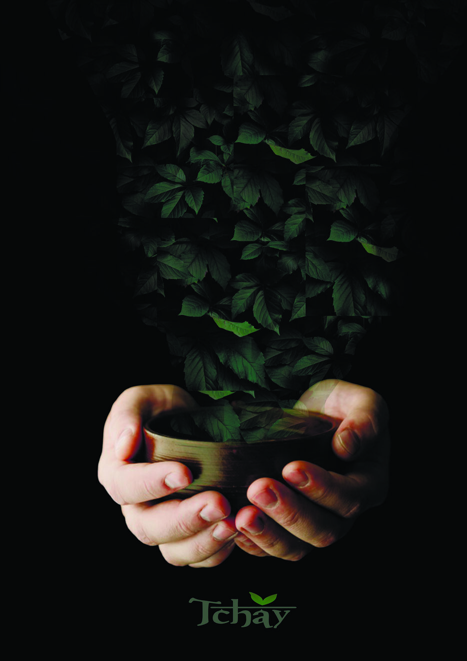  Anastasija plakats.jpg