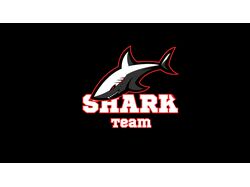 Logo Shark