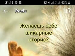 Видео для сторис в instagram