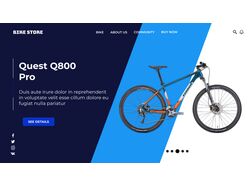 Bike Store