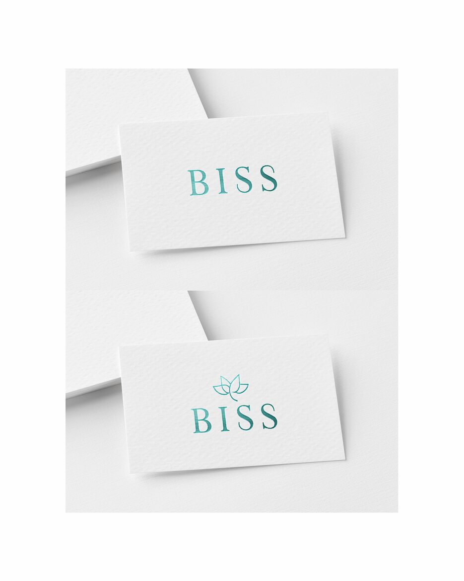 BISS3.jpg