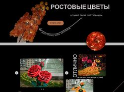 Лендинг для магазина ростовых цветов