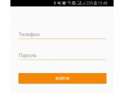 Такси пчелка