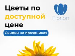 Florion баннер
