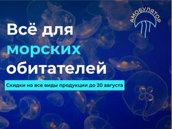 Амобулятор баннер