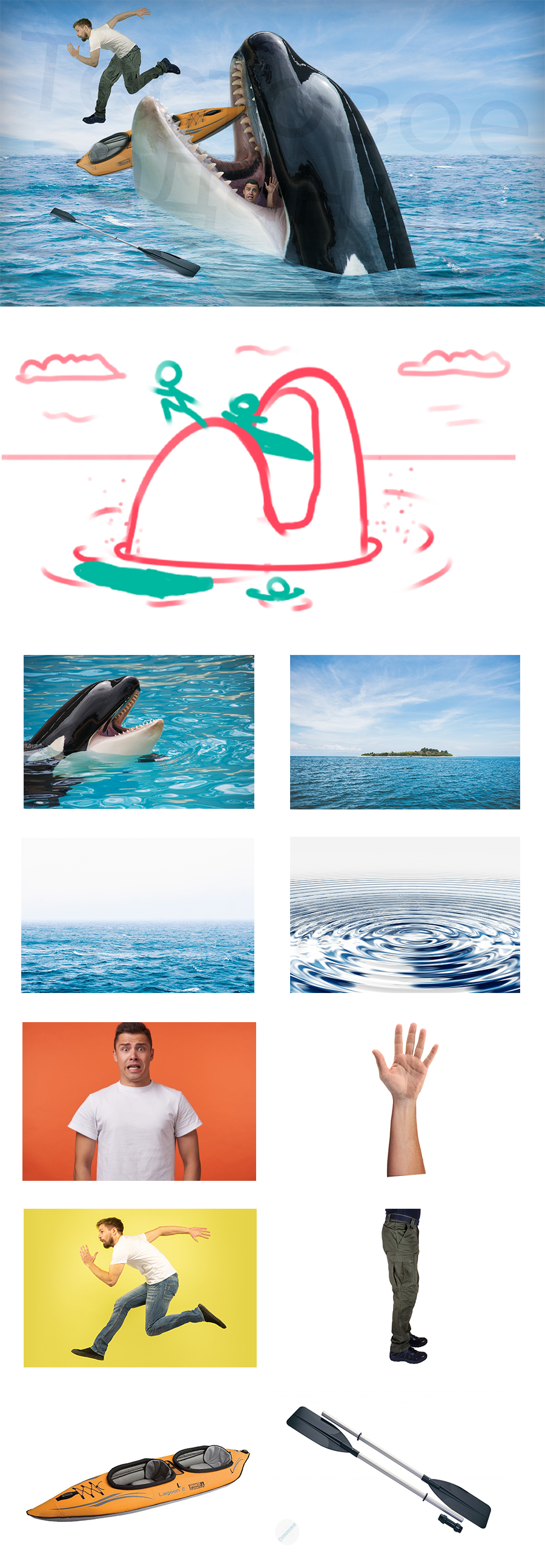 fish-folio.png