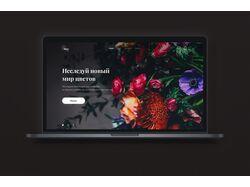 Blom shop | Дизайн сайтов