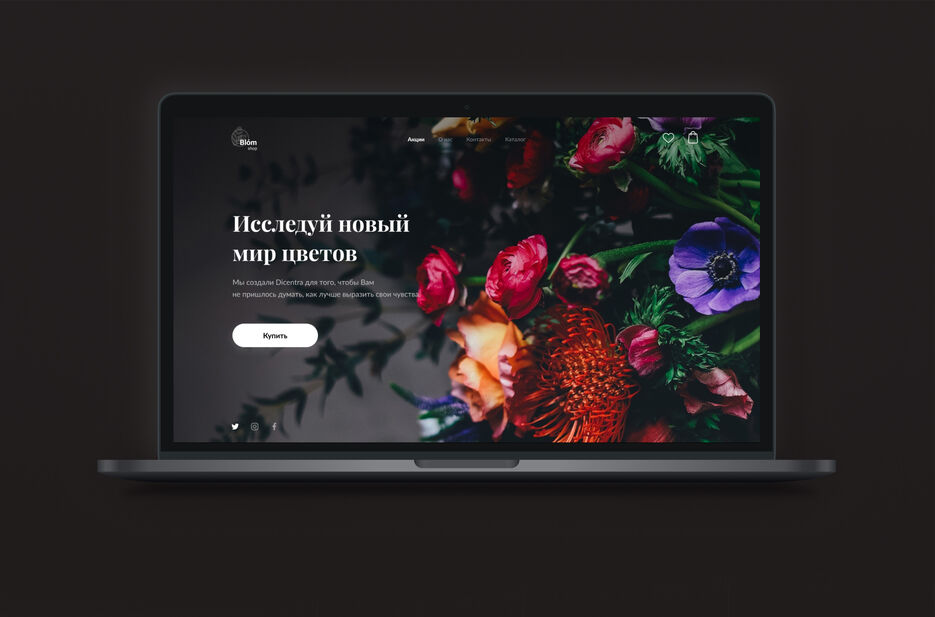 blom shop cover.jpg