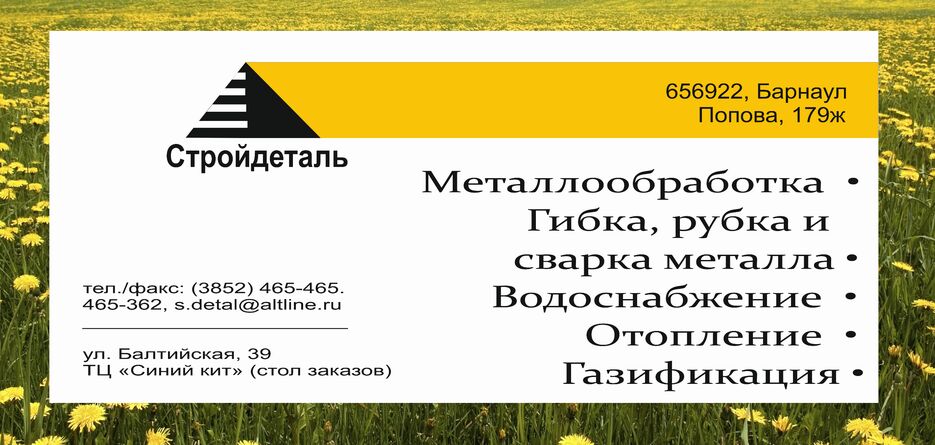 визитка стройдеталь.png
