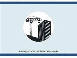 Пример брендбука