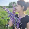 Katosya