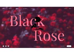 Сайт для автора вымышленной книги "Black Rose"