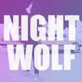 NightWolfx
