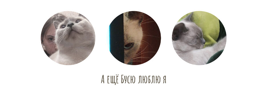 6 кадр.jpg
