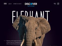 Elephant лендинг