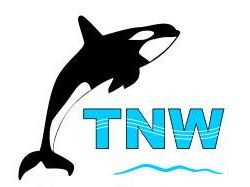 Логотип компании TNW