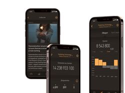 Разработка IOS/Android