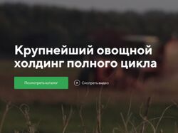 Сайт для агрохолдинга Дмитровские овощи
