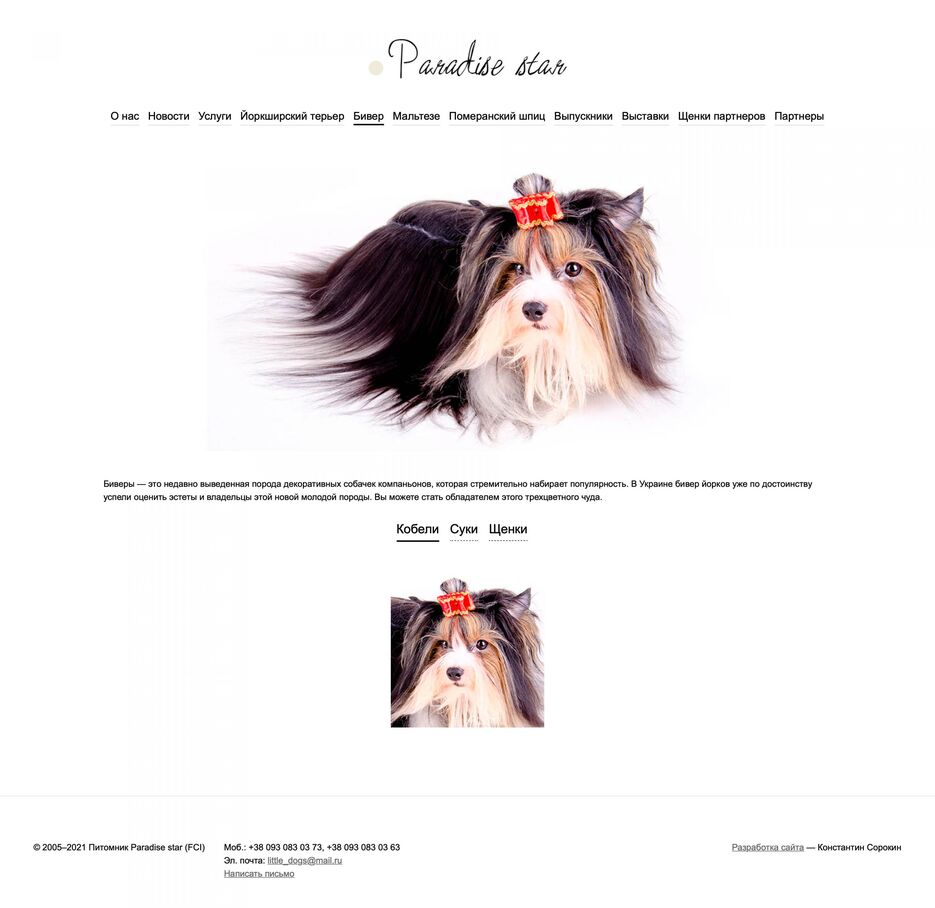 paradise-star-biewer-2880x2799.jpg