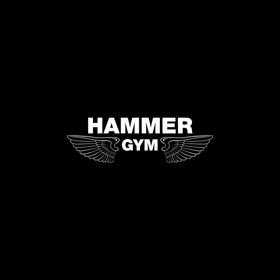 hammer-gym-logo.jpg