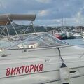 viktoriandr