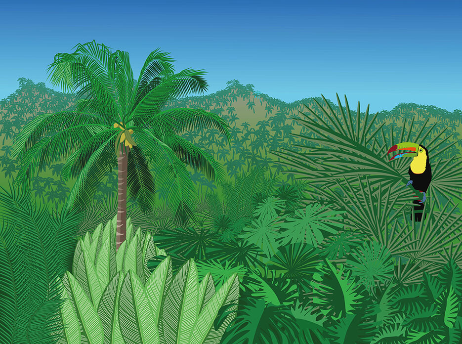 07 Jungle.jpg