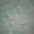 0990920905Mex