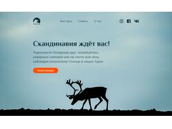 Polar bear - туристическая компания