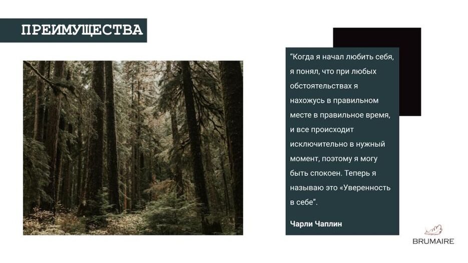Брендбук 1 (16).jpg