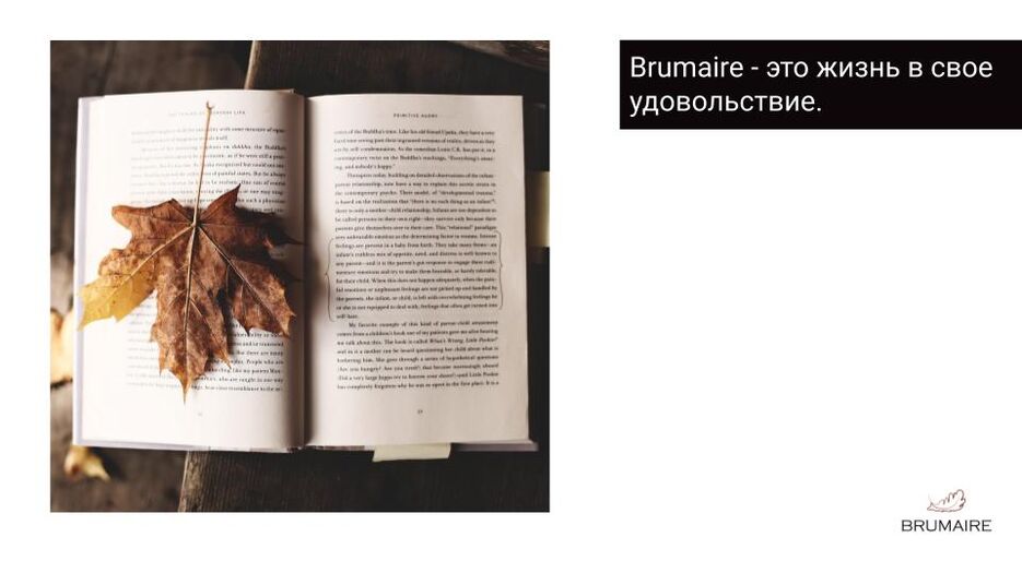 Брендбук 1 (11).jpg